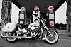 Softail Deluxe with Hard Bags and Fishtails-1959-paint-softail.jpg