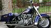 softails with hard bags?-dsc00415.jpg
