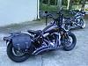 CROSSBONES OWNERS, can you give some ideas on saddlebags for me?-bikes-004.jpg