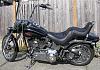 Softail Pics with Apes-fxstc_2.19.09_007_resize.jpg