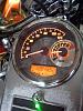 What did you do to Your Softail Today?-speedo2.jpg
