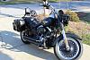 Pull back risers-img_0397.jpg