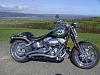 New Springer softail-bild5386-medium-.jpg