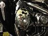 What did you do to Your Softail Today?-photo-1.jpg
