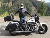 Softail Baggers Only...Pics please-2013-056.jpg