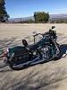 Softail &quot;cats&quot;-image.jpg