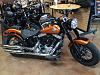 Just joined in, and purchased a new softail-img_1771.jpg
