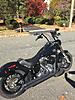Softail Slim build thread-img_2412.jpg