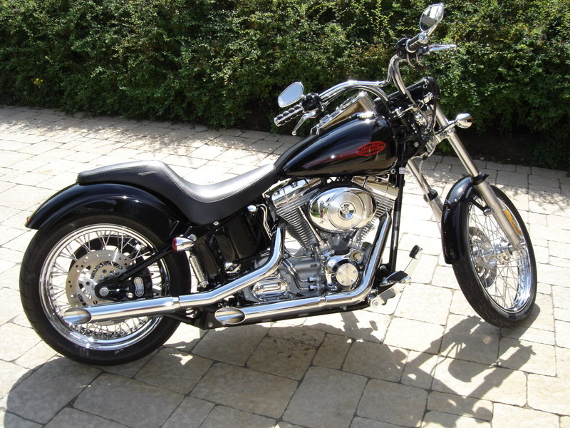 Name:  HarleyFXST001.jpg
Views: 3285
Size:  166.2 KB