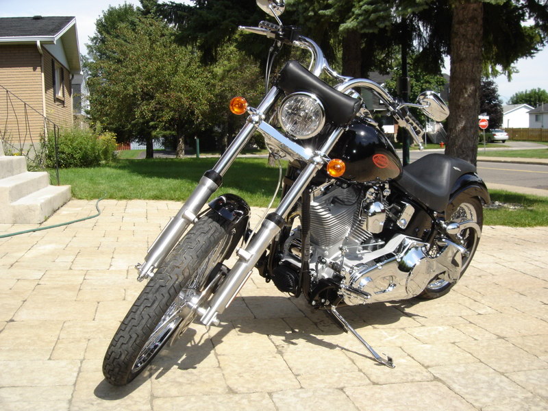 Name:  HarleyFXST006.jpg
Views: 391
Size:  159.5 KB