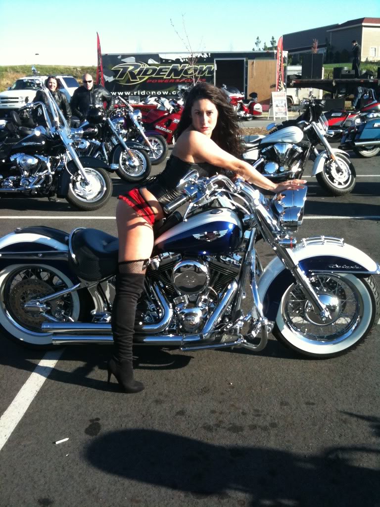 harleys and babes