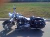  Seat/Backrest Softail Deluxe Question-img_0032.jpg