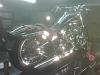 New Paint for the Softail-terrible-picture.jpg