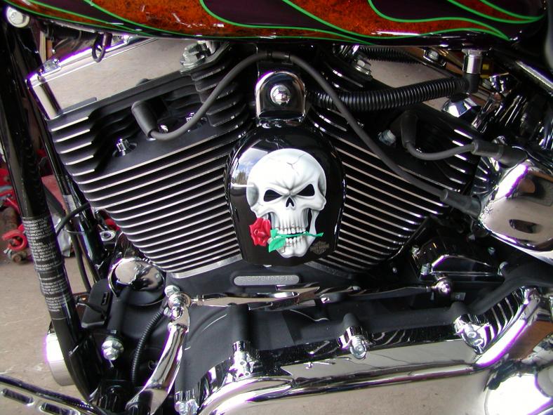  Fatboy  Horn Cover  Harley  Davidson  Forums