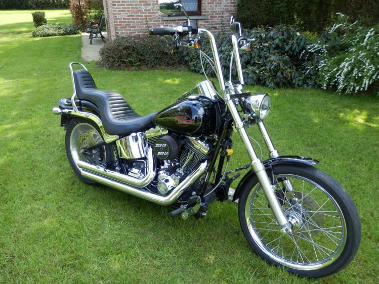 Softail  Custom Pictures Page 173 Harley  Davidson  Forums