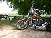  Softail Standard Pictures-p1040172.jpg