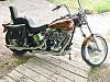  Softail Standard Pictures-p1040190.jpg