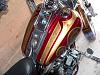  Softail Standard Pictures-p1040194.jpg
