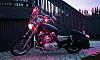 History of one sportster (a lot of pics)-1013000738b.jpg