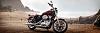 Trading in the Nightster for a 2014 883 Superlow-superlow.jpg