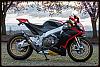 Selling my RSV4 for a Forty Eight: Am I crazy?-_dsc2990_zpsfbeeb0dd.jpg