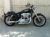 Could I just be a Sportster guy?-xl1200l-low-2007.jpg