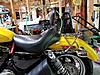 Mustang Backrest with taller riders-20170602_181512.jpg