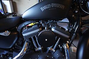 DIY:  DK 587 Intake + Outlaw breather install for Iron 883 (or any sportster)-boy2fz4.jpg