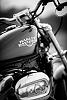  Post a PIC of your sporty-harley-davidson-sportster-41-280.jpg