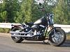  ?-crossbones-018.jpg