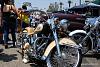 Bull Whip on a Touring Bike?  What's up with that?-672427481_qvd88-l.jpg