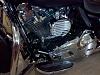 Mini-Beast 5 (close ups)-mounted_1.jpg