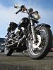 New Guy from Vancouver, WA-fxr-015-copy.jpg