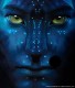 anjellara's Avatar