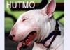 Hutmo's Avatar