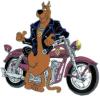 mdsmeck's Avatar