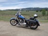 screamin softail's Avatar