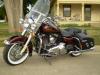 SteveH-D's Avatar