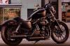 iron883Telmo's Avatar