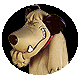 boatwake's Avatar