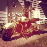 98 Heritage N.Indiana's Avatar