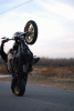 hd wheelie king's Avatar