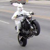 funnythebunny's Avatar