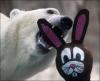 cherbear's Avatar