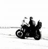 dp fxdb's Avatar