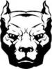 WarDawg19's Avatar