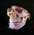 Fastmover31's Avatar