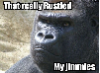 babygorilla's Avatar
