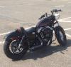 HD_Sportster_48's Avatar