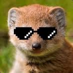 Mongoose59's Avatar